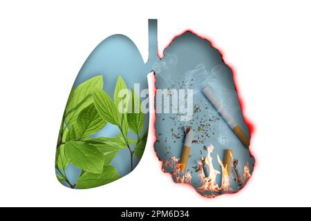 Abbildung der menschlichen Lunge - ein Teil mit Bild von frischen Blättern, ein anderer mit Zigaretten auf weißem Hintergrund. Gesunder und ungesunder Lebensstil Concep Stockfoto