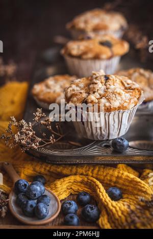 Kürbis- und Blaubeeren-Muffins in einem Backblech Stockfoto