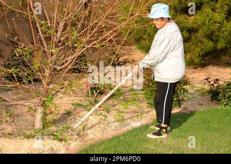 Eine ältere Frau, die sich um einen Garten kümmert Stockfoto