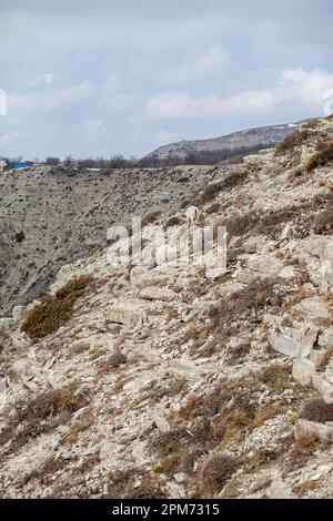 Ziegen ruhen sich in den Felsen am Berghang aus. Weiße Ziegen wandern und grasen auf einem steilen Berghang in Dagestan, Russland. Stockfoto