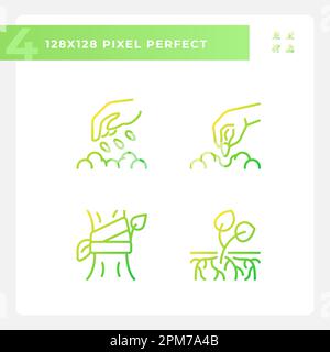 Symbole für lineare Vektorgradienten wachsender Pflanzen eingestellt Stock Vektor