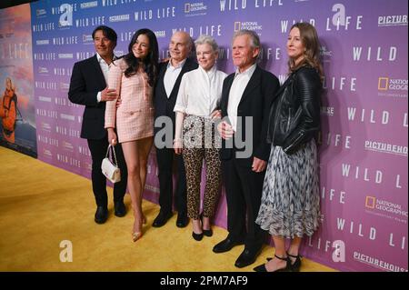 NEW YORK - 11. APRIL: Jimmy Chin, Chai Vasarhelyi, Bob Eisenhardt, Kristine Tompkins, Rick Ridgeway, Anna Barnes besucht am 11. April 2023 die New Yorker Premiere der National Geographic Documentary Films „Wild Life“ im Museum of Modern Art. „Wild Life“ erscheint am 14. April 2023 in ausgewählten Kinos und streamt am 26. Mai 2023 auf Disney+. (Foto: Anthony Behar/PictureGroup/Sipa USA für National Geographic) Stockfoto