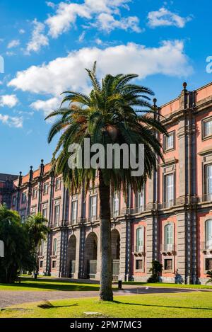 Museo di Capodimonte. Kunstmuseum im Palast von Capodimonte, einem großen Bourbon-palazzo in Neapel Stockfoto