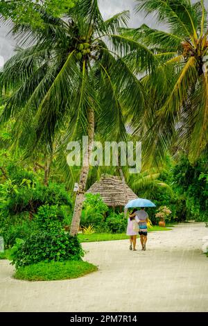Ein Paar auf den Malediven, das mittags im Regen spaziert. Regen auf der Trauminsel. Spaziergang auf einer Sandstraße mit blauem Sonnenschirm. Urlaubskonzept. Luxushotel Stockfoto