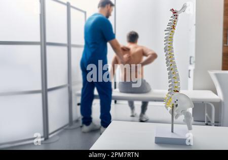 Anatomisches Modell der Wirbelsäule auf dem Tisch in der Praxis des manuellen Therapeuten. Erwachsener Mann während einer Wirbelsäulenuntersuchung durch einen Physiotherapeuten im Hintergrund, Weichfokus Stockfoto