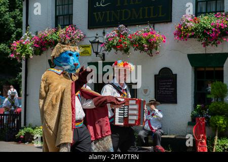 Morris-Tänzer mit Maske und Akkordeon, The Windmill Public House, Chipperfield, Hertfordshire, England, Großbritannien Stockfoto