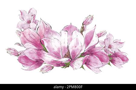Aquarell Magnolienblüten-Arrangement auf weißem Hintergrund. Handzeichnung Botanischer Illustrationen, isoliert. Stockfoto
