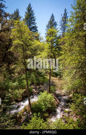 Whiskeytown-Shasta-Trinity National Recreation Area in Kalifornien Stockfoto