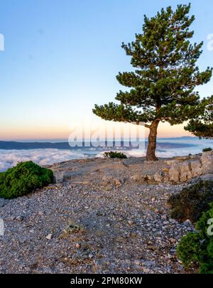 Sonnenaufgang auf Vidova Gora Brac Kroatien Stockfoto