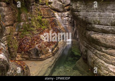 Grèce, Region de l'Epire, Monts Zagorohoria, Parc national des Gorges de Vikos-Aoos (Les Gorges les plus profondes du monde), les piscines naturelles de Papingo, appelée 'Kolymbithres' ou 'Ovidres' par les habitants /: Griechenland, Region Epirus, Zagorohoria-Gebirge, Vikos-Aoos-Schlucht-Nationalpark (die tiefsten Schluchten der Welt), die natürlichen Pools von Papingo, die von den Einheimischen als „Kolymbithres“ oder „Ovidres“ bezeichnet werden Stockfoto