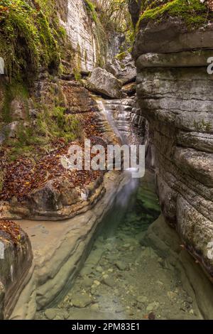 Grèce, Region de l'Epire, Monts Zagorohoria, Parc national des Gorges de Vikos-Aoos (Les Gorges les plus profondes du monde), les piscines naturelles de Papingo, appelée 'Kolymbithres' ou 'Ovidres' par les habitants /: Griechenland, Region Epirus, Zagorohoria-Gebirge, Vikos-Aoos-Schlucht-Nationalpark (die tiefsten Schluchten der Welt), die natürlichen Pools von Papingo, die von den Einheimischen als „Kolymbithres“ oder „Ovidres“ bezeichnet werden Stockfoto