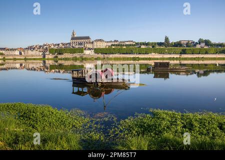 Frankreich, Loir-et-Cher, Loire-Tal, UNESCO-Weltkulturerbe, Blois, die Stadt vom Hafen von La Creusille mit traditionellen Loire-Booten im Vordergrund Stockfoto