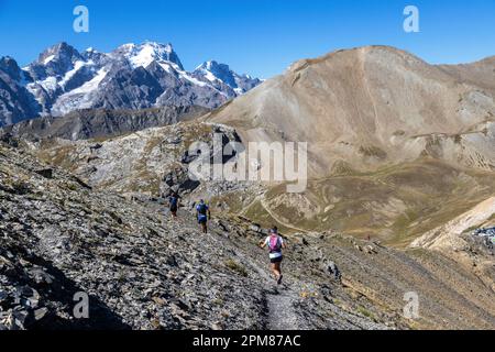 Frankreich, Savoie, Valloire, Cerces Massif, Cerces Lake, Leute, die Laufstrecken üben, im Hintergrund das Ecrins-Massiv, der Gipfel des Barre des Ecrins (4102 M) Stockfoto