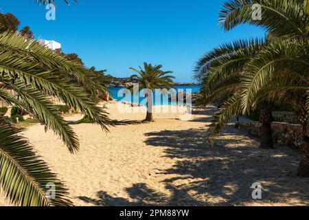 Cala d’Or, Mallorca, Balearische Inseln, Spanien. 29 März 2023, Blick auf den Strand Cala des Pou, Mallorca Stockfoto