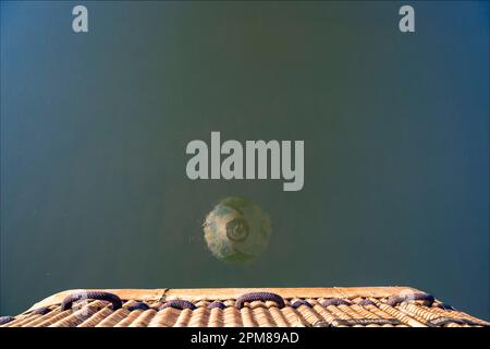 Frankreich, Indre et Loire, Cangey, Reflexion des Ballons in der Loire aus einem Heißluftballon mit dem Betreiber Aérocom (Luftaufnahme) Stockfoto