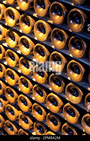 Frankreich, Marne, Chalons en Champagne (ehemals Chalons sur Marne), Joseph Perrier Champagne House gegründet 1825, Flaschen Champagner in den Kellern gelagert (ausgegraben in ehemaligen Gallo-römischen Kreidegruben) Stockfoto