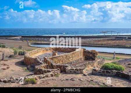 Spanien, Kanarische Inseln, Fuerteventura, Gemeinde Antigua, Salinas del Carmen, Die Salzpfannen Stockfoto