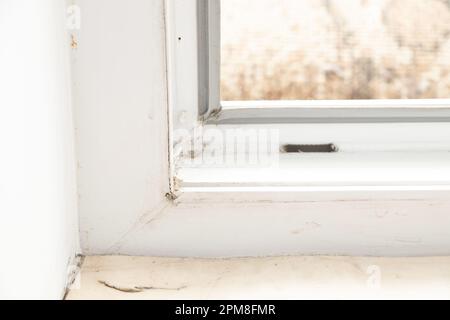 Schmutzige Fensternaht in der Wohnung, Fensterrahmen aus Metall-Kunststoff, Fenster Stockfoto