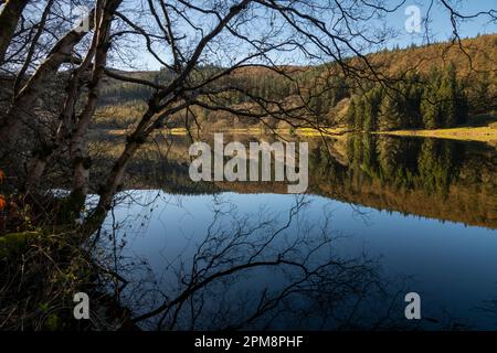 Ein wunderschöner Frühlingsvormittag im Ladybower Reservoir im Peak District National Park, Derbyshire, England. Stockfoto