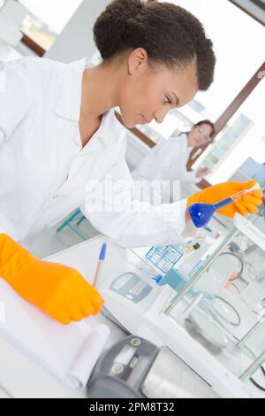 Wissenschaftlerin im Labor arbeiten Stockfoto