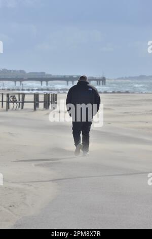 Storm Noa, Boscombe, Bournemouth, Dorset, Vereinigtes Königreich, 12. April 2023, Wetter. Ein Mann, der morgens bei starkem Wind und stürmischen Bedingungen am Meer durch bläulichen Sand spaziert. Kredit: Paul Biggins/Alamy Live News Stockfoto