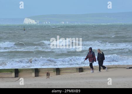 Storm Noa, Boscombe, Bournemouth, Dorset, Vereinigtes Königreich, 12. April 2023, Wetter. Hundefreunde am Strand bei starkem Wind und stürmischen Bedingungen am Meer am Morgen. Kredit: Paul Biggins/Alamy Live News Stockfoto