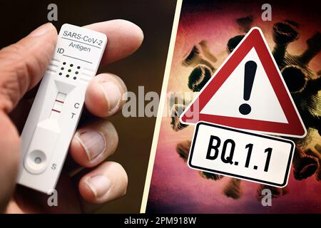 FOTOMONTAGE, Hand hält positiv Corona-Schnelltest und Gefahrenschild mit Aufschrift BQ.1,1, Corona-Variante BQ.1,1, Symbolfoto Stockfoto