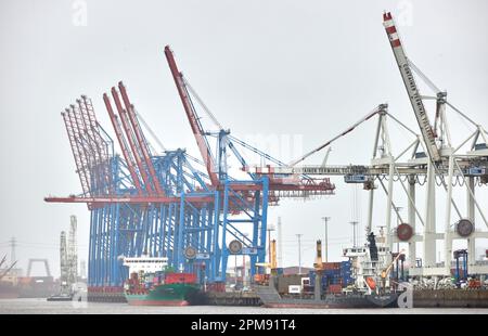 Hamburg, Deutschland. 12. April 2023. Blaue und weiße Kräne stehen am Terminal des Hafens Tollerort. Hamburgs Hafenterminal Tollerort, an dem die Chinesen beteiligt sein wollen, ist jetzt als Critical Infrastructure Credit registriert: Georg Wendt/dpa/Alamy Live News Stockfoto