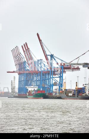 Hamburg, Deutschland. 12. April 2023. Blaue und weiße Kräne stehen am Terminal des Hafens Tollerort. Hamburgs Hafenterminal Tollerort, an dem die Chinesen beteiligt sein wollen, ist jetzt als Critical Infrastructure Credit registriert: Georg Wendt/dpa/Alamy Live News Stockfoto