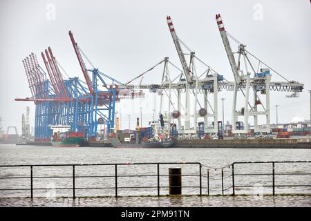 Hamburg, Deutschland. 12. April 2023. Blaue und weiße Kräne stehen am Terminal des Hafens Tollerort. Hamburgs Hafenterminal Tollerort, an dem die Chinesen beteiligt sein wollen, ist jetzt als Critical Infrastructure Credit registriert: Georg Wendt/dpa/Alamy Live News Stockfoto