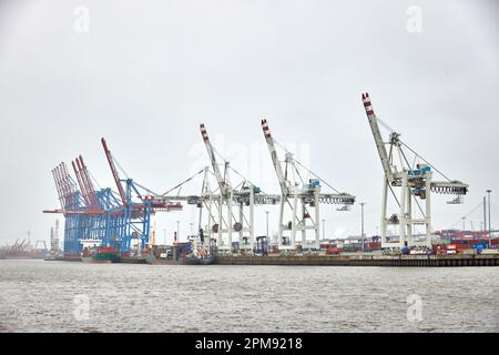 Hamburg, Deutschland. 12. April 2023. Blaue und weiße Kräne stehen am Terminal des Hafens Tollerort. Hamburgs Hafenterminal Tollerort, an dem die Chinesen beteiligt sein wollen, ist jetzt als Critical Infrastructure Credit registriert: Georg Wendt/dpa/Alamy Live News Stockfoto