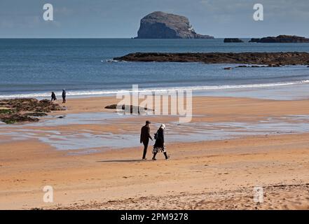 North Berwick, East Lothian, Schottland, Großbritannien. 12. April 2023 Windig am Strand von Milsey Bay in der Küstenstadt. Wind 21 km/h mit möglichen Böen von 42 km/h, Temperatur von etwa 8 Grad Celsius, echtes Gefühl 2 Grad Celsius. Abbildung: Leute, die die Frühlingssonne am Sandstrand mit Bass Rock im Hintergrund genießen. Kredit: Archwhite/alamy Live News. Stockfoto