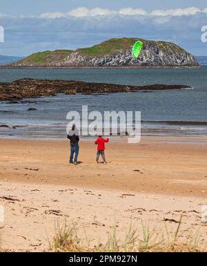 North Berwick, East Lothian, Schottland, Großbritannien. 12. April 2023 Windig am Strand von Milsey Bay in der Küstenstadt. Wind 21 km/h aus dem Süden mit möglichen Böen von 42 km/h, Temperatur von etwa 8 Grad Celsius, echtes Gefühl 2 Grad Celsius. Abbildung: Mann und Junge, die die windigen Bedingungen nutzen, um einen Drachen vom Strand mit Craigleith Island im Hintergrund zu fliegen. Kredit: Archwhite/alamy Live News. Stockfoto