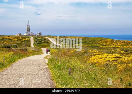 Pointe du Raz. Weg durch das Moor. Finistère. Brittany Stockfoto