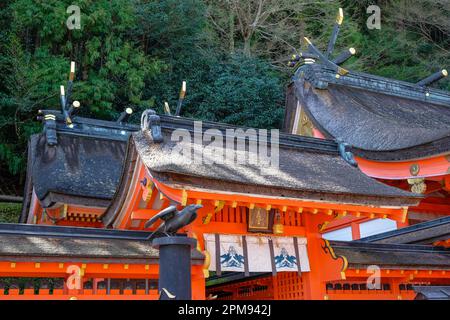 Nachikatsuura, Japan - 19. März 2023: Kumano Nachi Taisha ist ein Shinto-Schrein in Nachikatsuura, Japan. Stockfoto