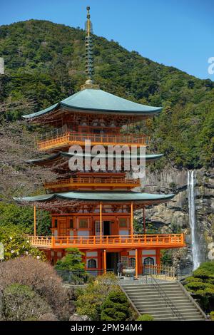 Nachikatsuura, Japan - 19. März 2023: Seigantoji-Pagode in Kumano Nachi Taisha ist ein Shinto-Schrein in Nachikatsuura, Japan. Stockfoto