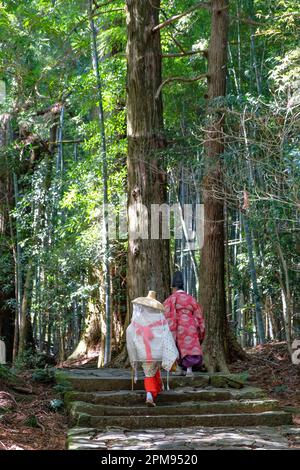 Nachikatsuura, Japan - 19. März 2023: Daimon-zaka ist ein berühmter Hang und Teil des Kumano Kodo, einer der drei großen Pilgerrouten Japans. Stockfoto