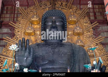 Nara, Japan - 22. März 2023: Der Todaiji-Tempel ist ein buddhistischer Tempel in Nara, Japan. Stockfoto