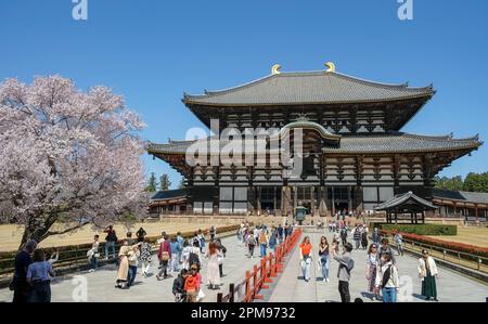 Nara, Japan - 22. März 2023: Touristen, die den Todaiji-Tempel besuchen, ist ein buddhistischer Tempel in Nara, Japan. Stockfoto
