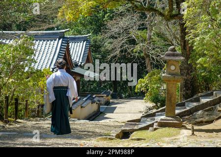 Nara, Japan - 22. März 2023: Eine Frau im Kimono im Kasuga Taisha-Schrein im Osten des Nara-Parks in Nara, Japan. Stockfoto