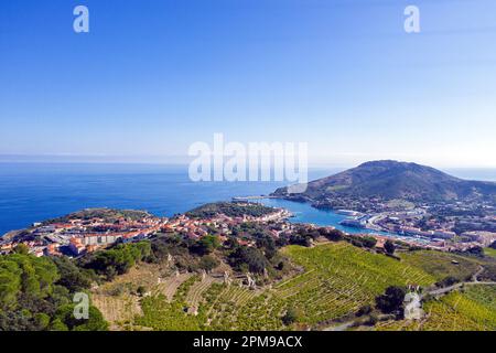 Port Vendres, Pyrénées-Orientales, Languedoc-Roussillon, Südfrankreich, Frankreich, Europa Stockfoto