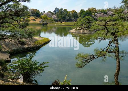 Okayama, Japan - 4. April 2023: Okayama Korakuen Garden ist ein japanischer Garten in Okayama, Japan. Stockfoto