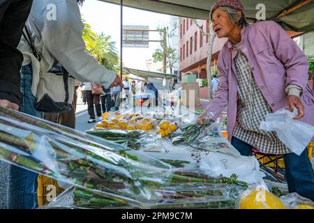 Kochi, Japan - 9. April 2023: Eine Frau, die Obst und Gemüse auf dem Kochi Sunday Market in Japan verkauft. Stockfoto
