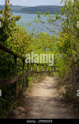 Langer Pfad mit Schottertreppen und Holzgeländer für Touristen in sonnigen Sommerwäldern. Leerer Wanderweg im Naturschutzgebiet Stockfoto