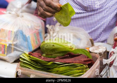 Betelblätter werden in einem Straßenladen in Indien verkauft. Sehr beliebtes Street Food in indien. Hand hält grüne Betelblätter zum Füllen mit verschiedenen CO Stockfoto