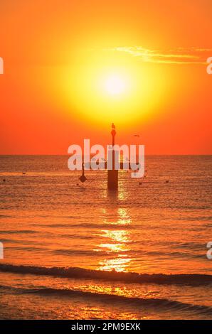 Sommermorgen Küstenlandschaft. Sonne und Vögel über der Ostsee. Foto am Strand in Gdynia, Polen. Stockfoto