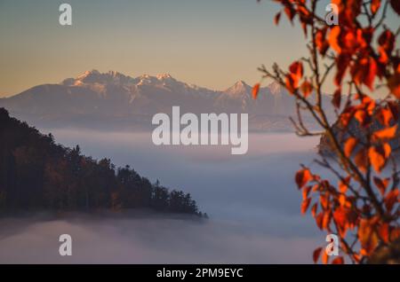 Fabelhafte farbenfrohe Herbstlandschaft. Magischer Morgen in den polnischen Bergen. Foto auf dem Gipfel der Sokolica in Pieniny, Polen. Stockfoto