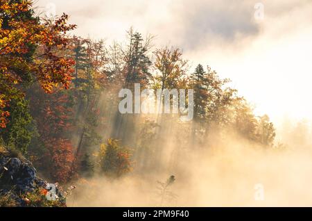 Fabelhafte farbenfrohe Herbstlandschaft. Magischer Morgen in den polnischen Bergen. Foto auf dem Gipfel der Sokolica in Pieniny, Polen. Stockfoto