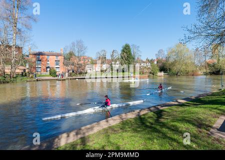 Ruderboote auf dem Fluss Avon in Stratford-upon-Avon, Warwickshire, England Stockfoto