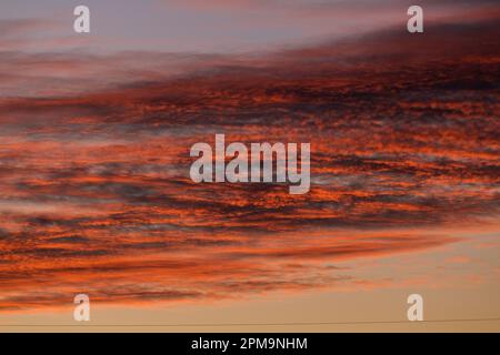 Sonnenuntergang im Herbst, der tiefe Farbe in den Wolken erzeugt, während die Sonne unter den Horizont taucht. Stockfoto